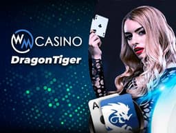 Dragon Tiger demo play result